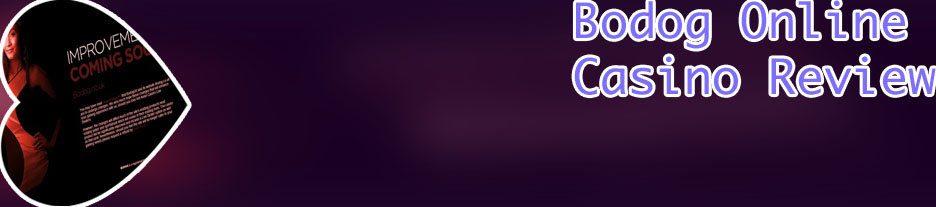 Bodog online poker